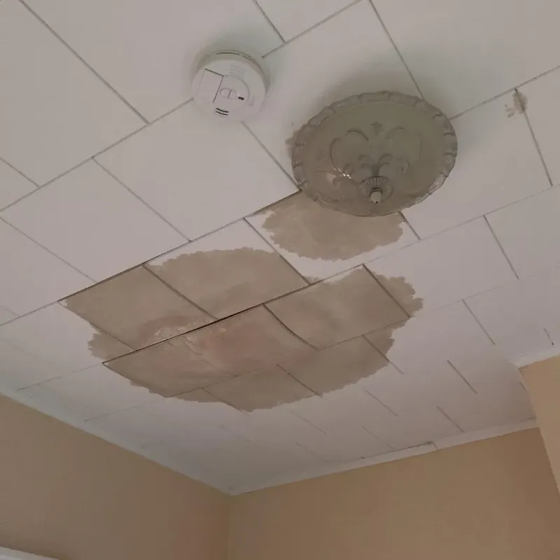 Ceiling Water Damage Repair in Okeene, OK