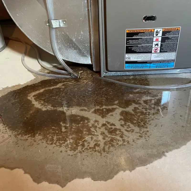 Pipe Burst and Leak Restoration in Okeene, OK