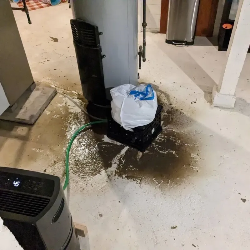 Sewage Backup Cleanup Service in Okeene, OK